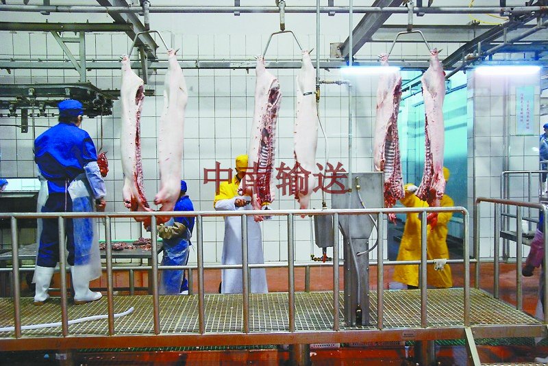 屠宰生產(chǎn)線(xiàn) 屠宰生產(chǎn)線(xiàn)