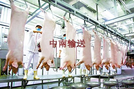 豬管軌屠宰生產(chǎn)線(xiàn) 豬管軌屠宰生產(chǎn)線(xiàn)